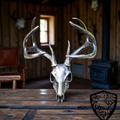 Deer Skull