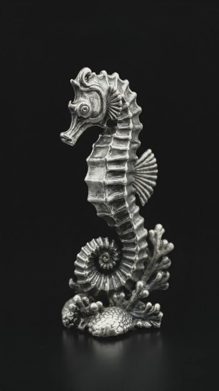 Sea Horse